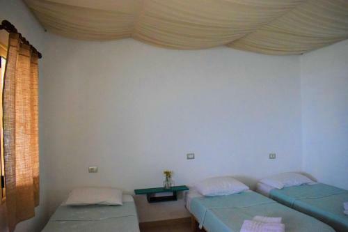 Posada Standard Rooms By Scala