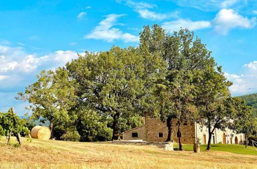 Palazzolo Resort - Anghiari