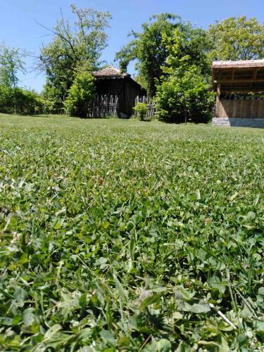 Apartamento Lodge Morava 2
