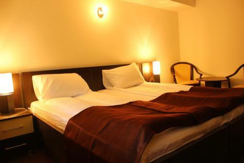 Hotel Domogled