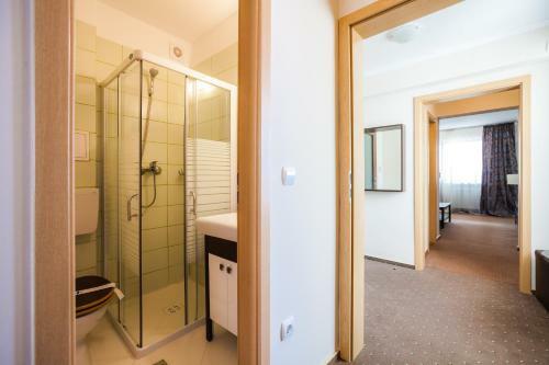 Hotel Domogled