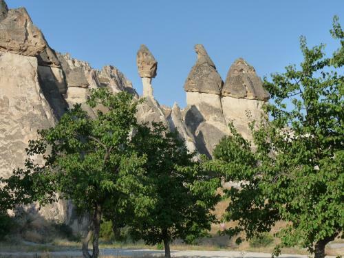 Hotel Buyuk Avanos Oteli