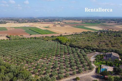 Finca S'olivar De Son Reixach - Rentallorca