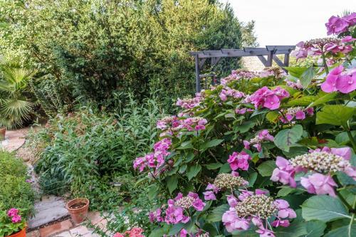 Bed & Breakfast Mas Des Carnassoles
