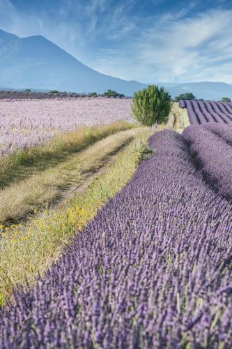 G�te Le Val Zen Valaurie - Dr�me Proven�ale