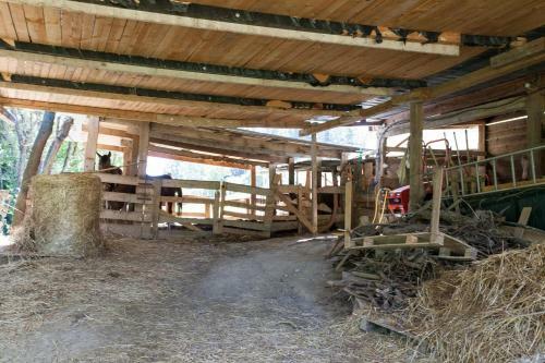 Apartamento Podere Caldaruccio La Pineta - Torretta