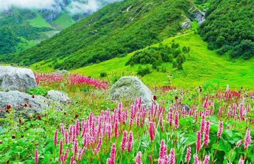 Prithvi Yatra Badrinath River Hotel