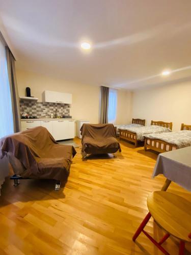 Apartamento ??????? ??????? ???????? "???????" Borjomi Guest House "giomani" ????????? ???????? "giomani"