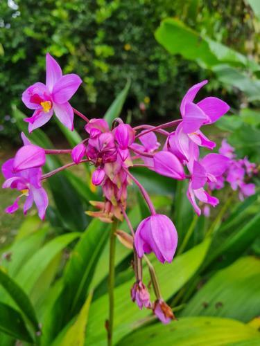 Villa Coraz�n - Private Beach At Lake Arenal