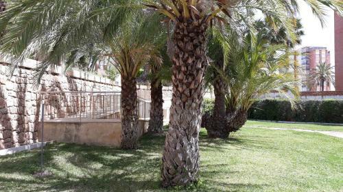 Apartamento Torre San Sebastian