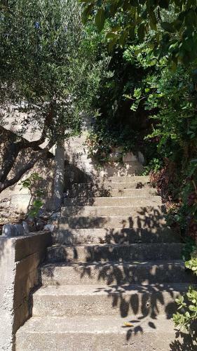Apartmani Le?i? Zaklopatica