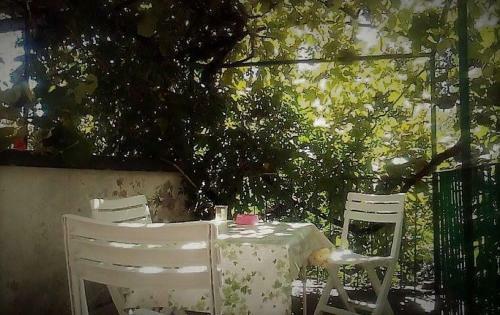 Bed & Breakfast Il Giardino Dei Merli