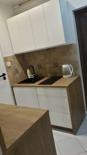 Apartament ?winouj?cie Centrum