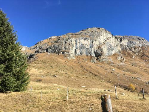Apartamentos Chesa Viletta