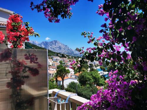 Apartment Luka Sodan -villa Bose