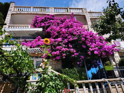 Apartment Luka Sodan -villa Bose