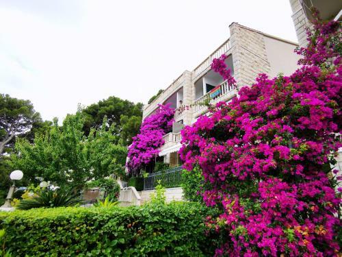 Apartment Luka Sodan -villa Bose