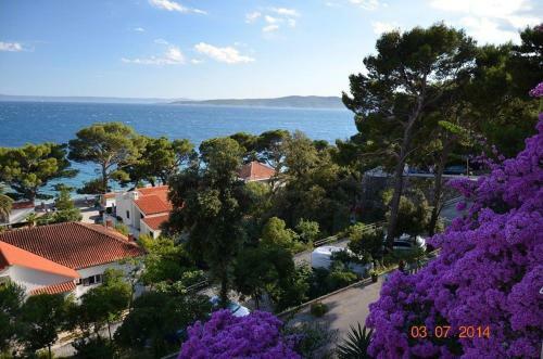 Apartment Luka Sodan -villa Bose