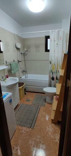 Steaua De Mare Nord 2 Apartament Silvia