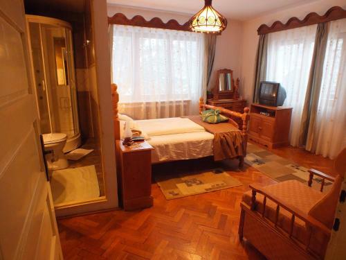 Hostal Pensiunea Aurora Albac