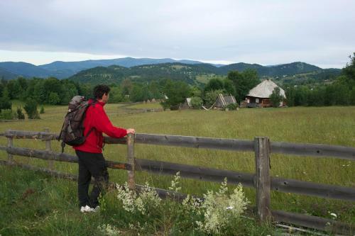 Hostal Pensiunea Aurora Albac