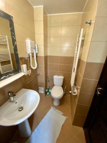 Hostal Pensiune Muntii Aninei