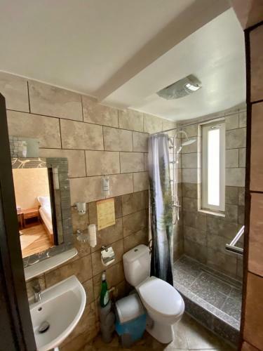 Hostal Pensiune Muntii Aninei