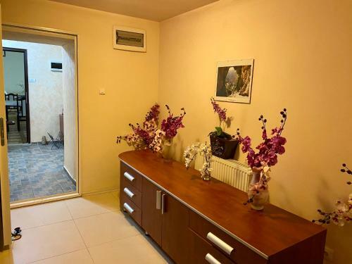 Hostal Pensiune Muntii Aninei