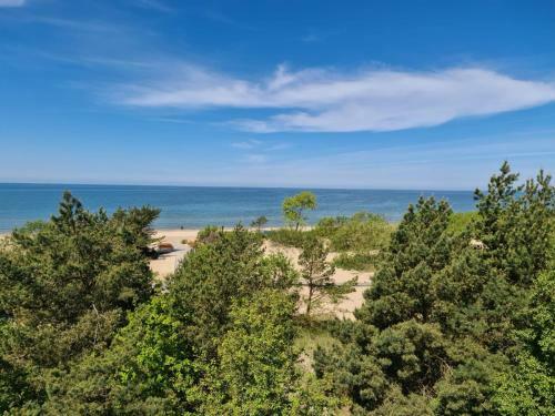 Meil?s Al?jos Apartamentai