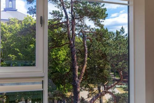 Meil?s Al?jos Apartamentai