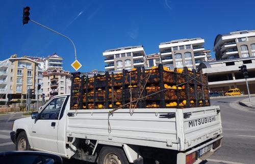 Apartamento 1+1 Elite Marine Rasidence ? ????? ?????????