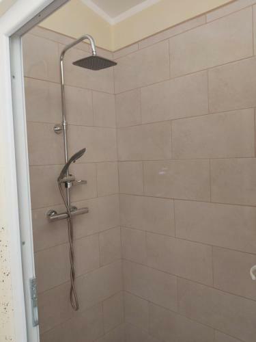 Glamping Naselje Zeleni Turizem