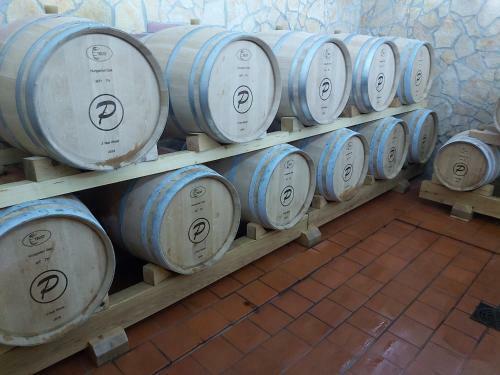Apartamento Evina Hi?a - Winery Pesrl