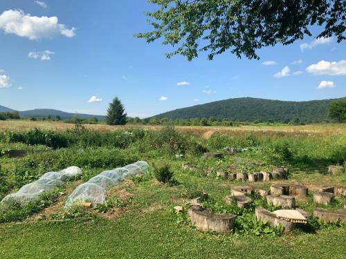 Hostal Dolina Mira/ Peace Valley