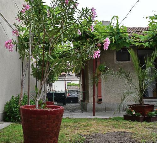 Casa De La Mare