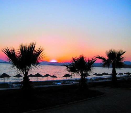 1 - Holy Art Villas Plajda 5 Katli Villa