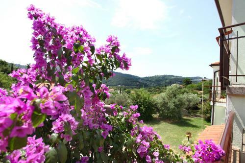 Apartamento Bozena Studio Kneb