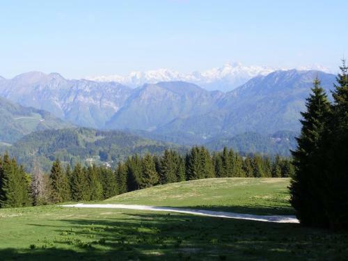 Apartmaji Srnca