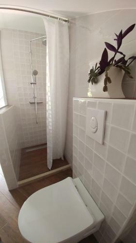 Apartmani Matija