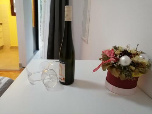 Apartmani Korina