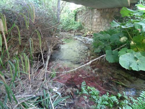 Agroturismo Harry's Retreat