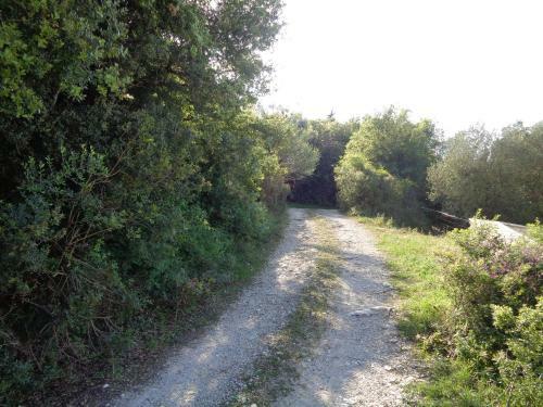 Agroturismo Harry's Retreat