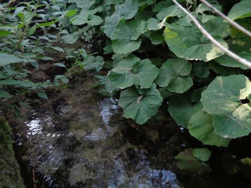 Agroturismo Harry's Retreat