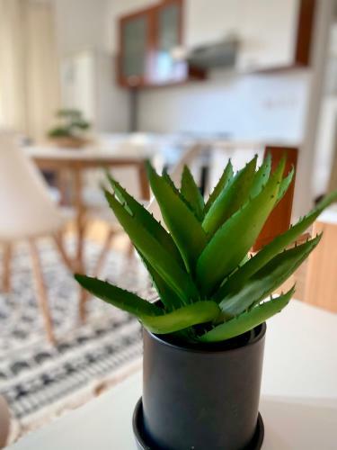 Cozy Apartment Umag 2