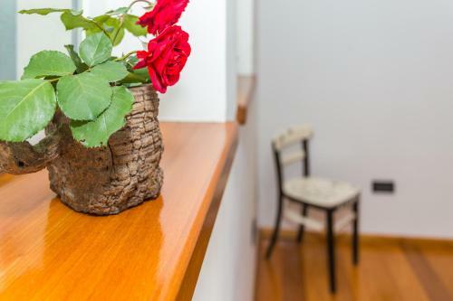 Sunny Seafront Apartment Dolphin