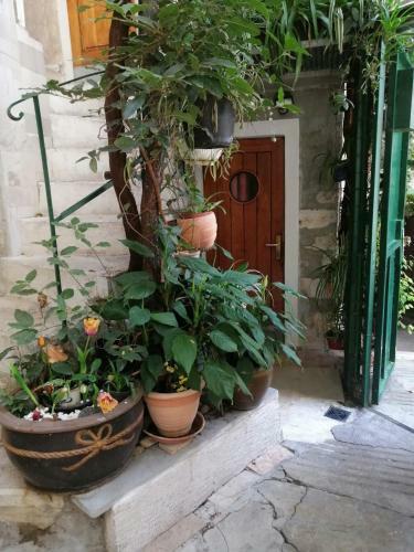 Hostal Adriana Downtown Guesthouse