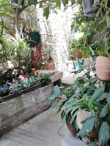 Hostal Adriana Downtown Guesthouse