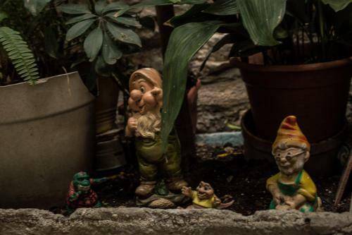 Hostal Adriana Downtown Guesthouse