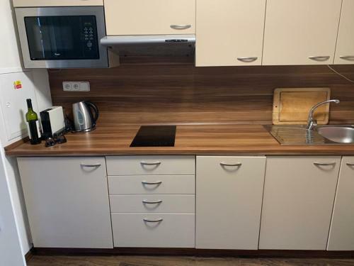 Apartm�n U Pl�?e S Terasou