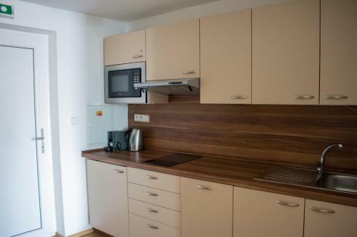 Apartm�n U Pl�?e S Terasou